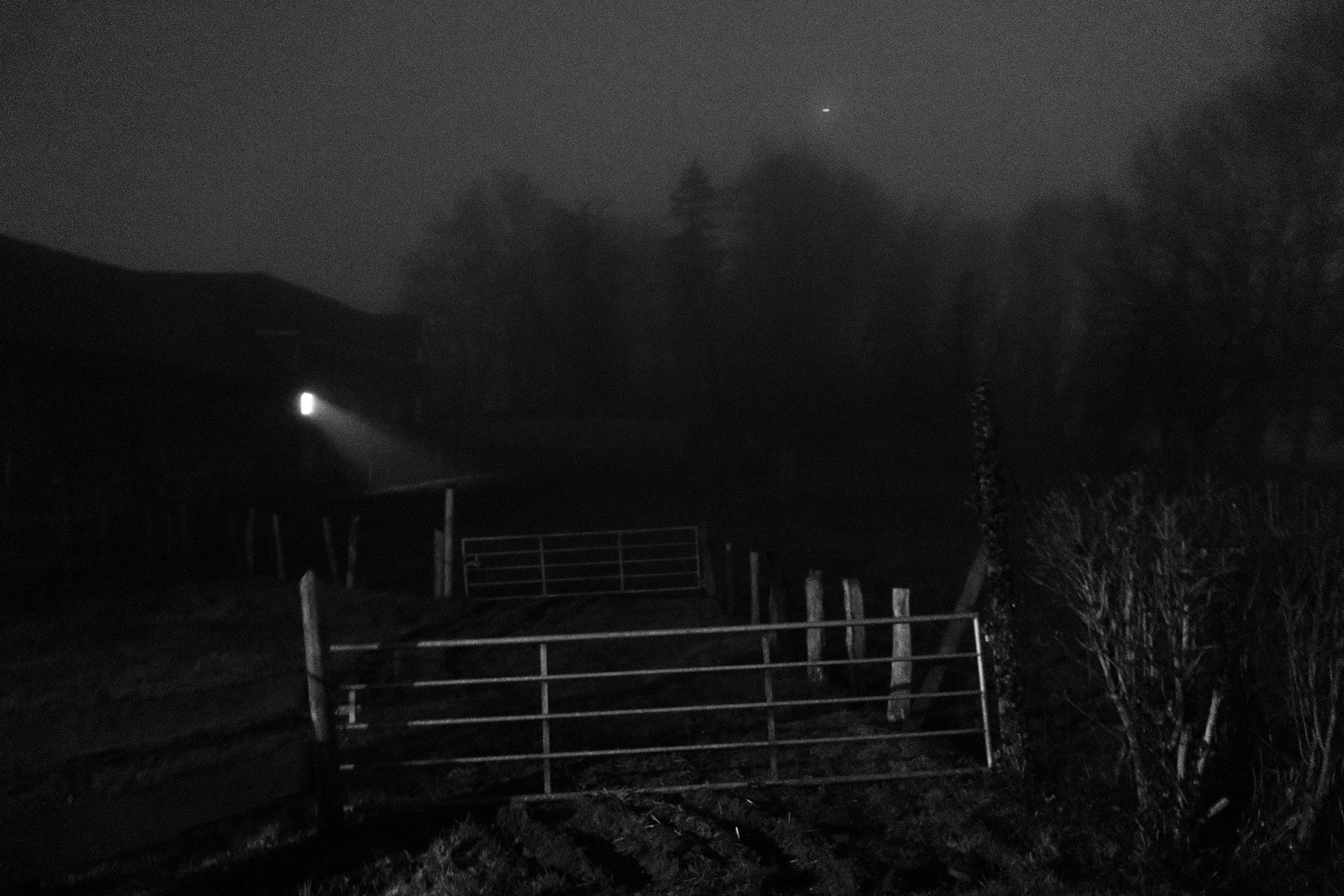 Description of photo