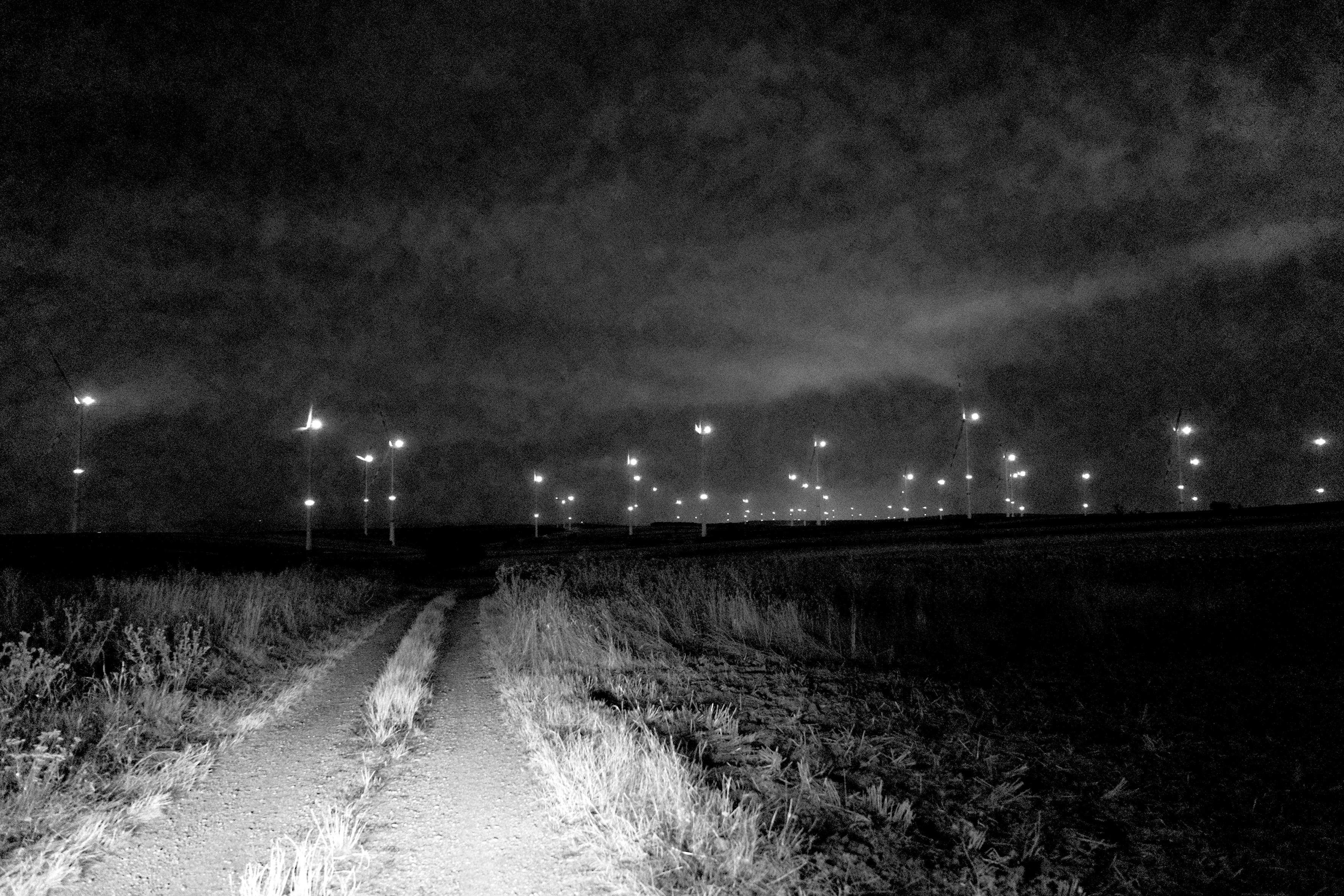 Description of photo